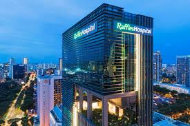 Private Medical & Wellness Discovery Tour in Singapore